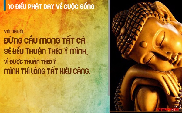 10 Điều Đức Phật Dạy Về Cuộc Sống Ai Cũng Phải Học - Phật Bản Mệnh